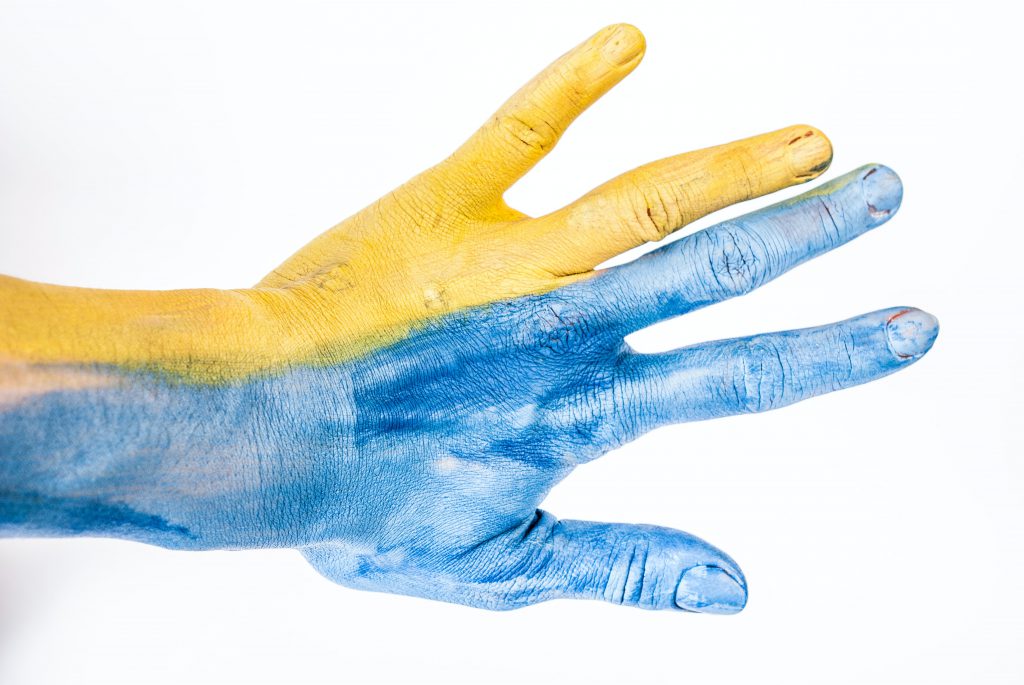 elena-mozhvilo-Avnof_IwPoQ-unsplash elena-mozhvilo-Avnof_IwPoQ-unsplash