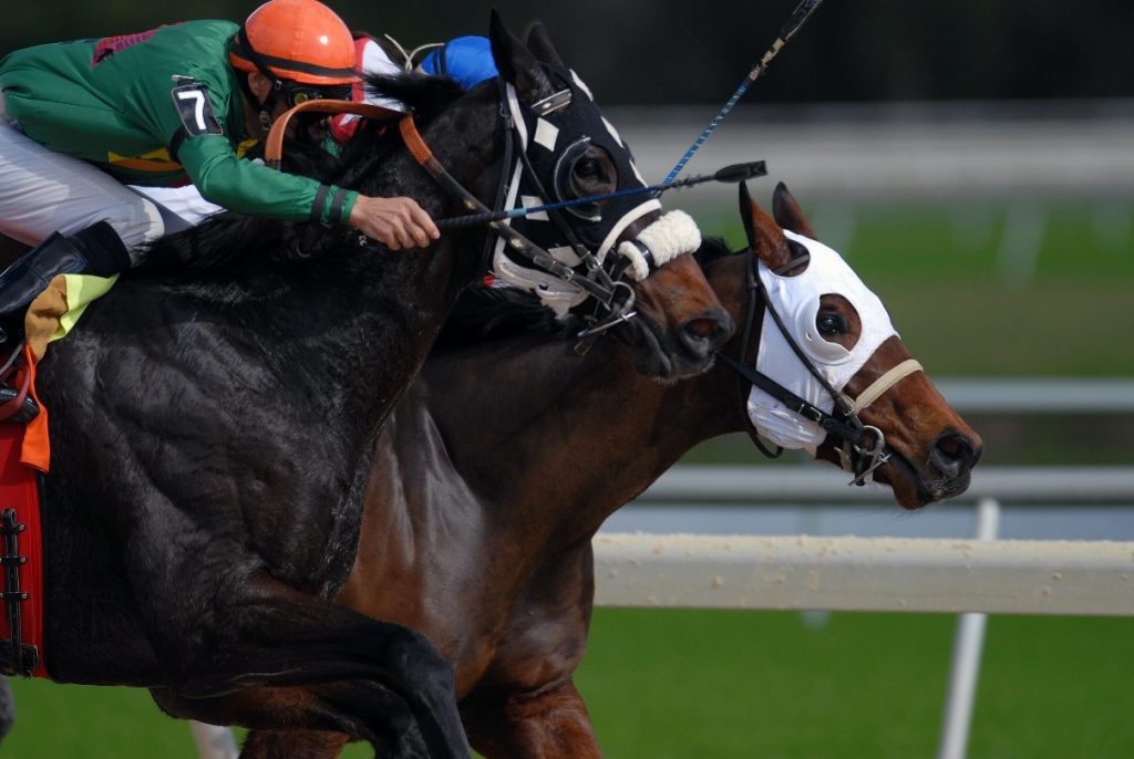 horse-racing horse-racing