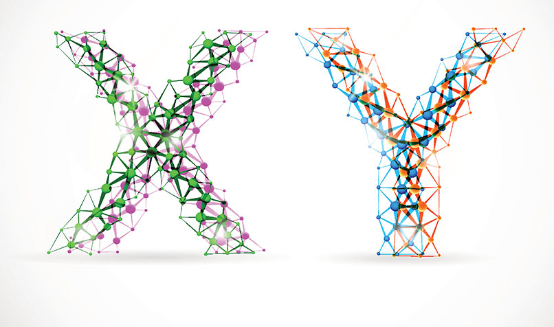 X-Y X-Y