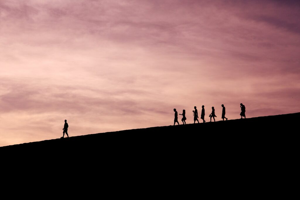 jehyun-sung-6U5AEmQIajg-unsplash jehyun-sung-6U5AEmQIajg-unsplash